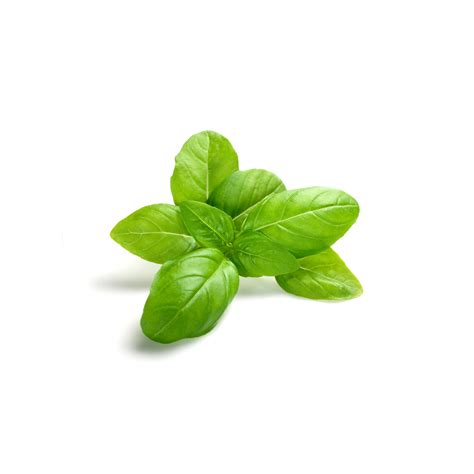 Balad basil 80g